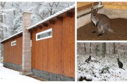 Neuer Hillen-Schornstein im Zoo Neuwied
