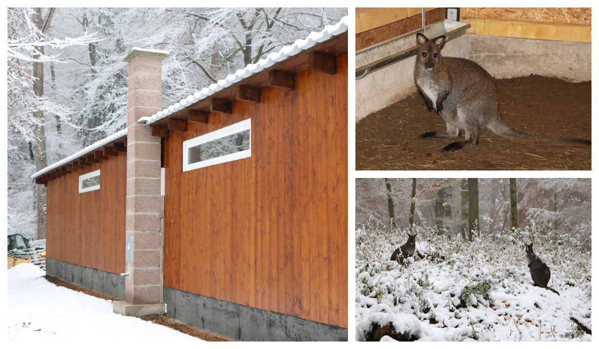 Schornstein im Zoo Neuwied